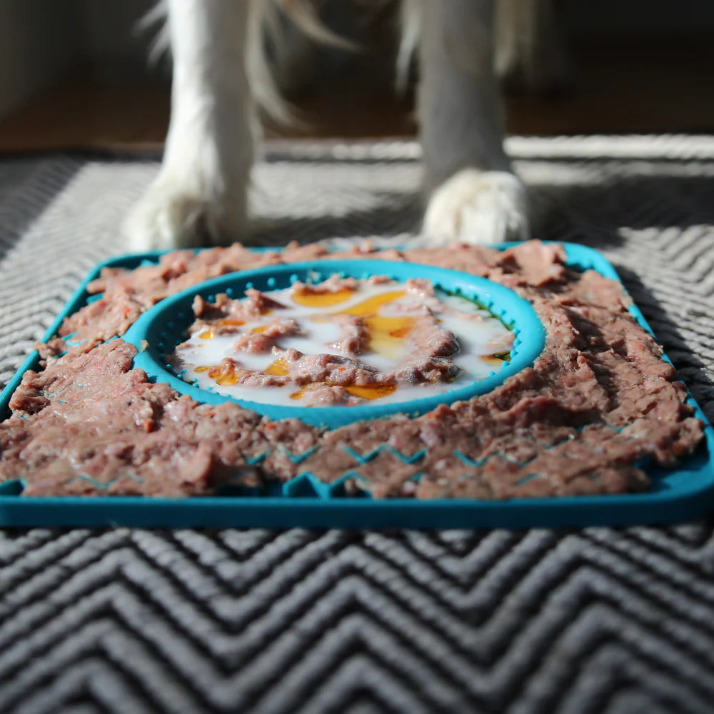 Messy Mutts - Licking Bowl Mat