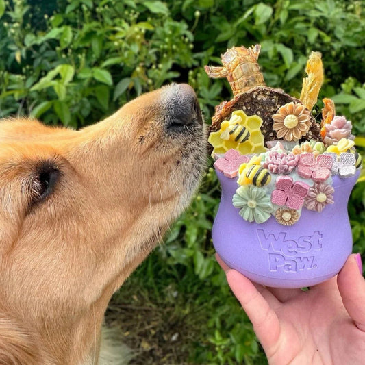 [LIMITED EDITION] West Paw - Toppl LAVENDER