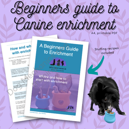 Beginners Guide to Enrichment - digital download. PDF
