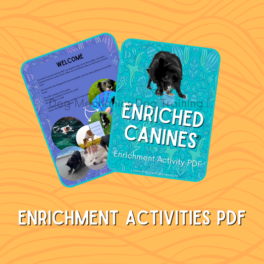 Enrichment Activities - digital download. PDF