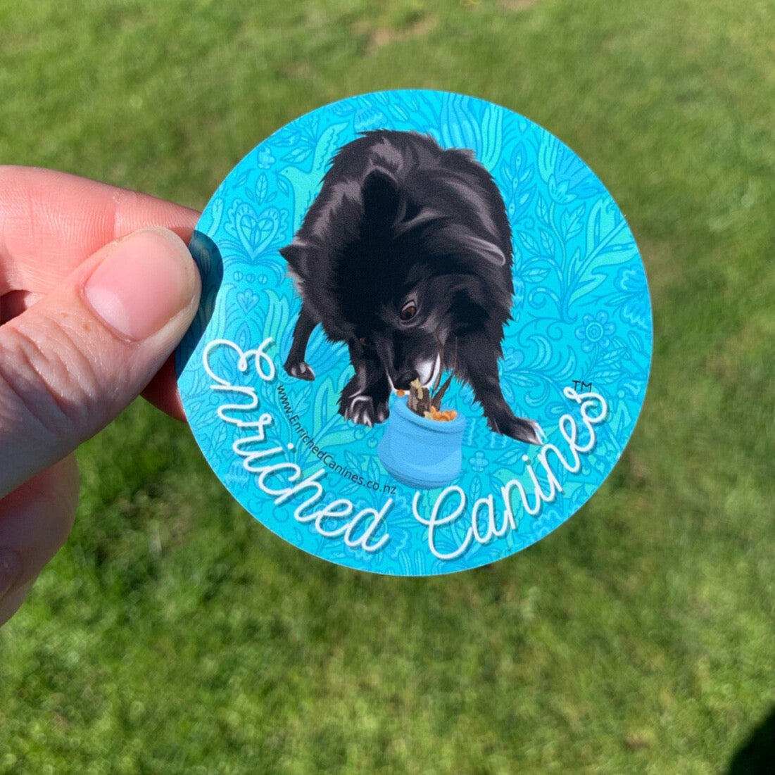 Enriched Canines Magnets