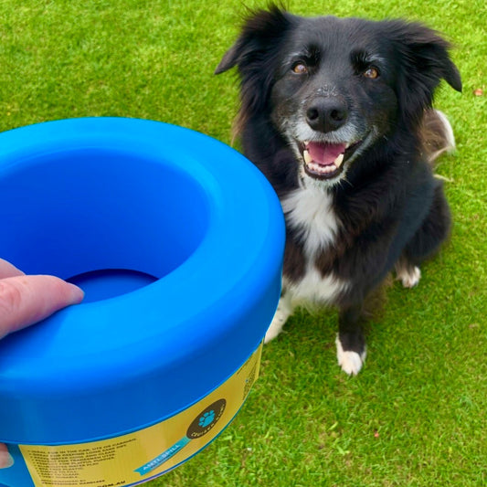 K9 Cruiser Bowl - Round