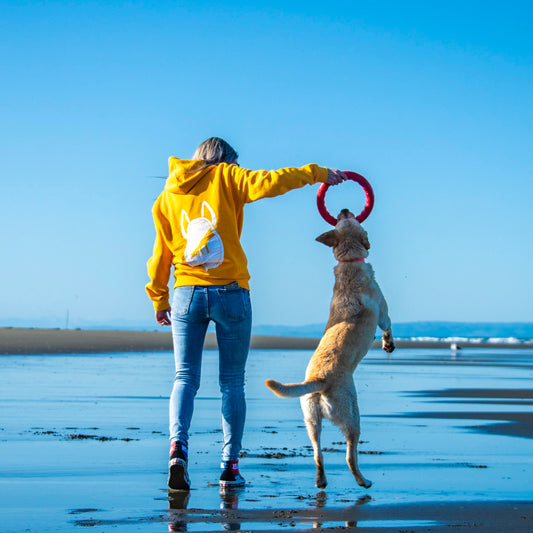 PitchDog Fetch Ring