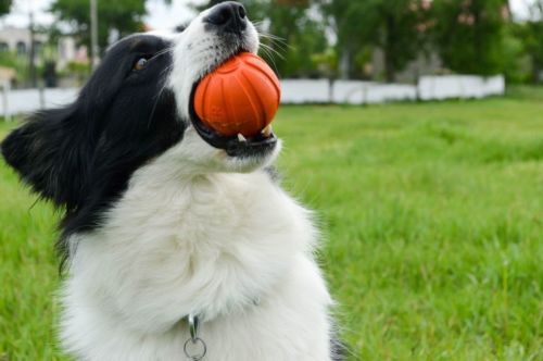 Liker Ball