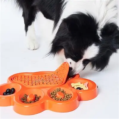 PAW 2-In-1 Slow Feeder & Lick Pad