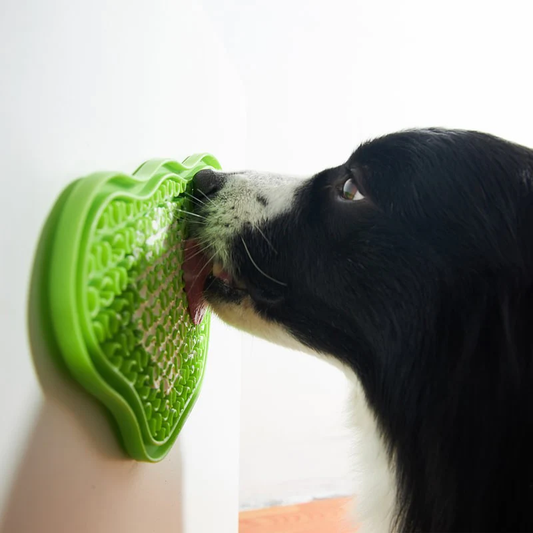 PAW Lick Pad with suction cups