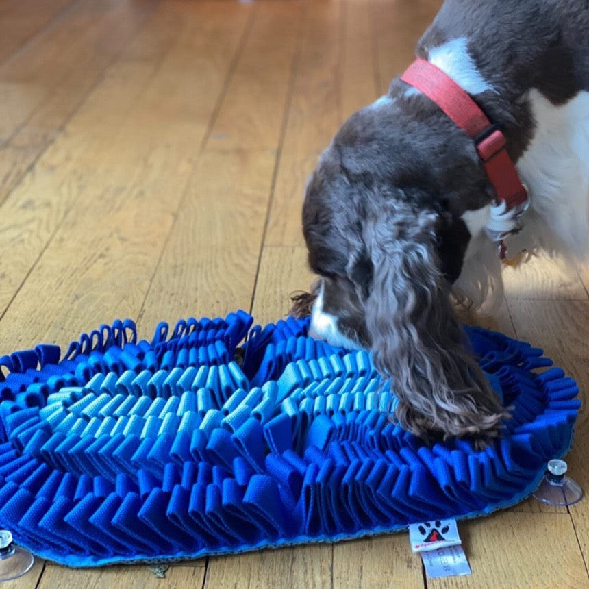 Fire and Ice Snuffle Mat