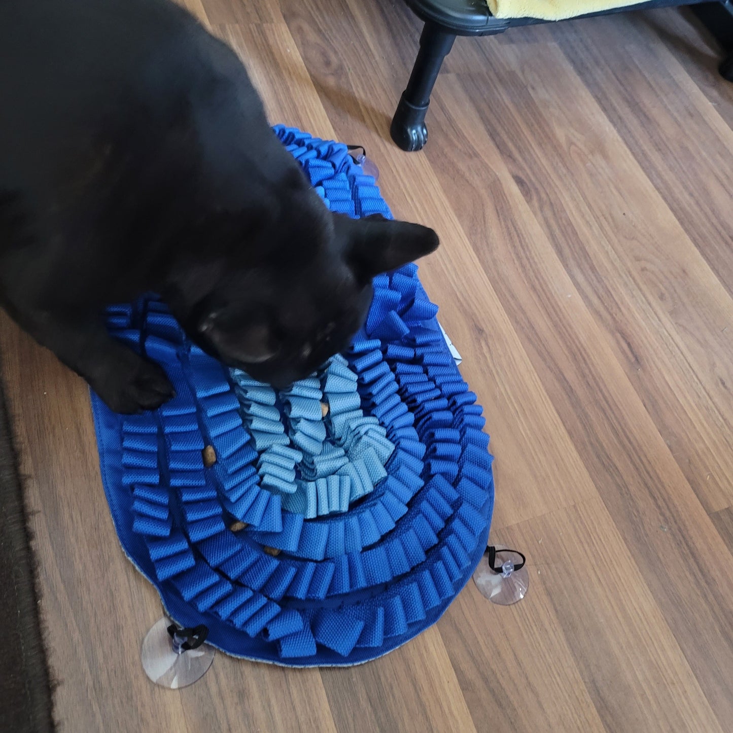 Fire and Ice Snuffle Mat